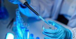 Fotografía de una imagen de laboratorio