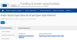 Captura de la web de las ayudas "Public Sector Open Data for AI and Open Data Platform"