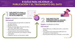 Captura de la infografía "8 guías para mejorar la publicación y el tratamiento del dato"