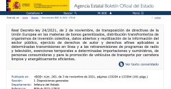 Captura del BOE donde se recoge el Real Decreto-ley 24/2021