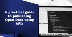 API guide